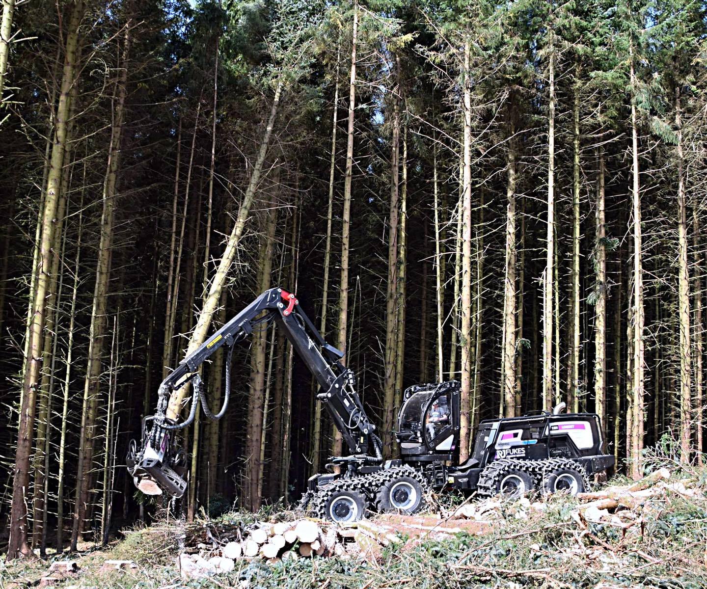 Logset-Hybrid-harvesting-in-Kielder-Forest