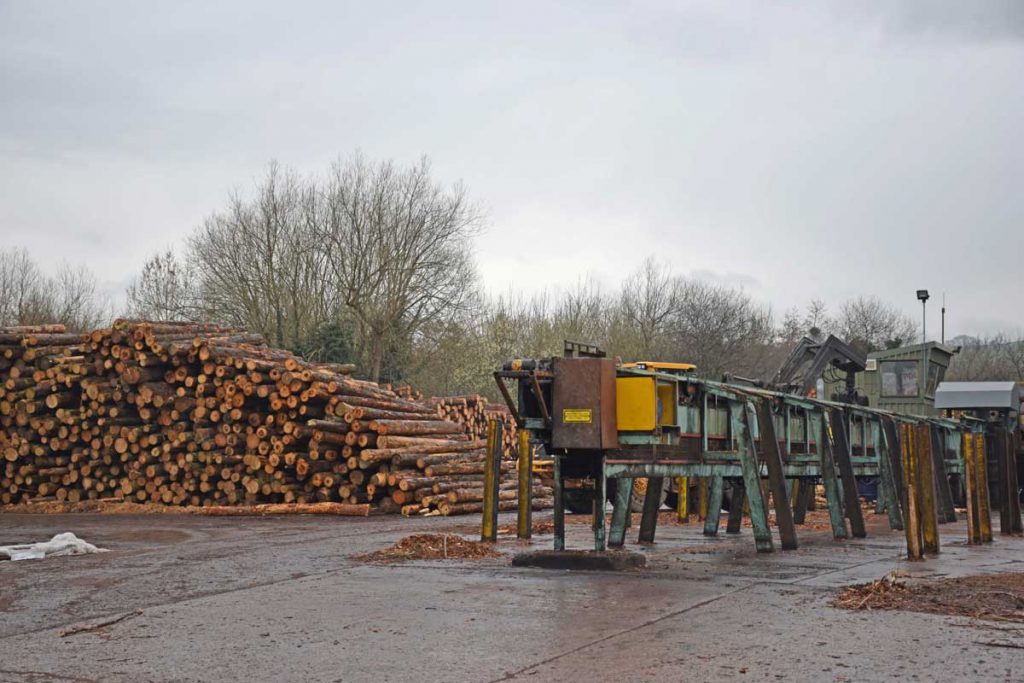 log sorting line in sawmill