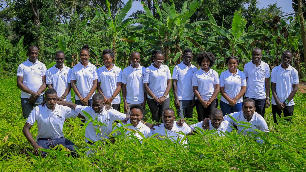 PLANT POWER: BAMBOO BIOMASS IN UGANDA
