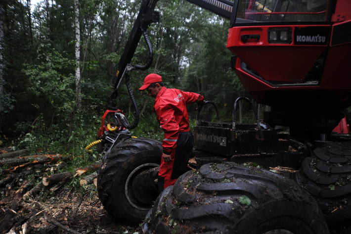 Forestry industry must improve safety record