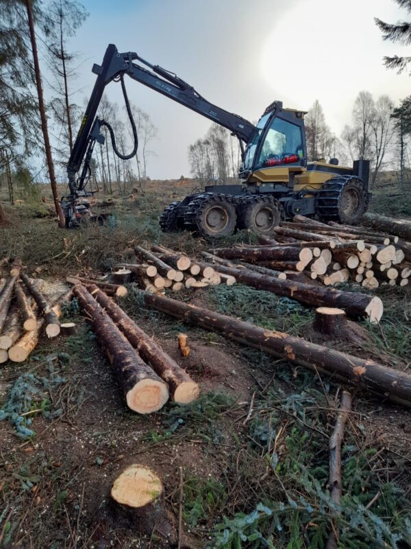 Eco Log 560D Harvester Report Forest Machine Magazine