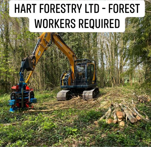 machine operators and hand cutters required