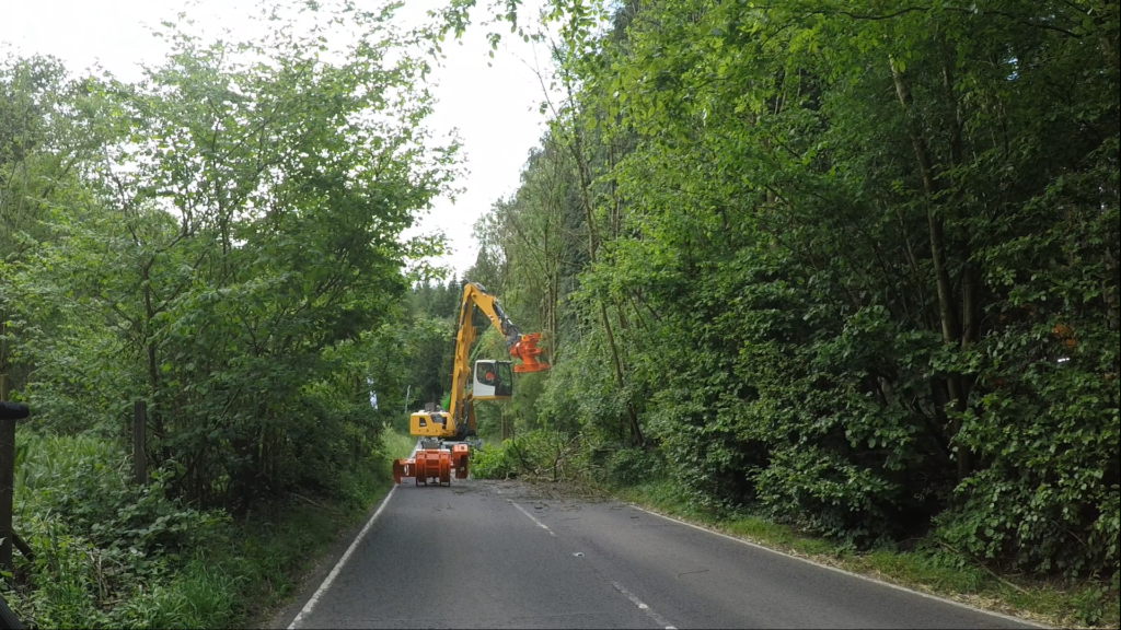 Tackling ash dieback with Westtech  C450 Woodcracker® fitted to a Liebherr
