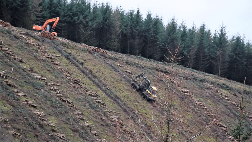 Timbermax T10 on a Ponsse Elk forwarder with a K70 double 
extension loader