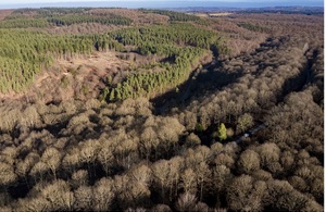 Wyre Forest Nature Reserve is largest native woodland in England