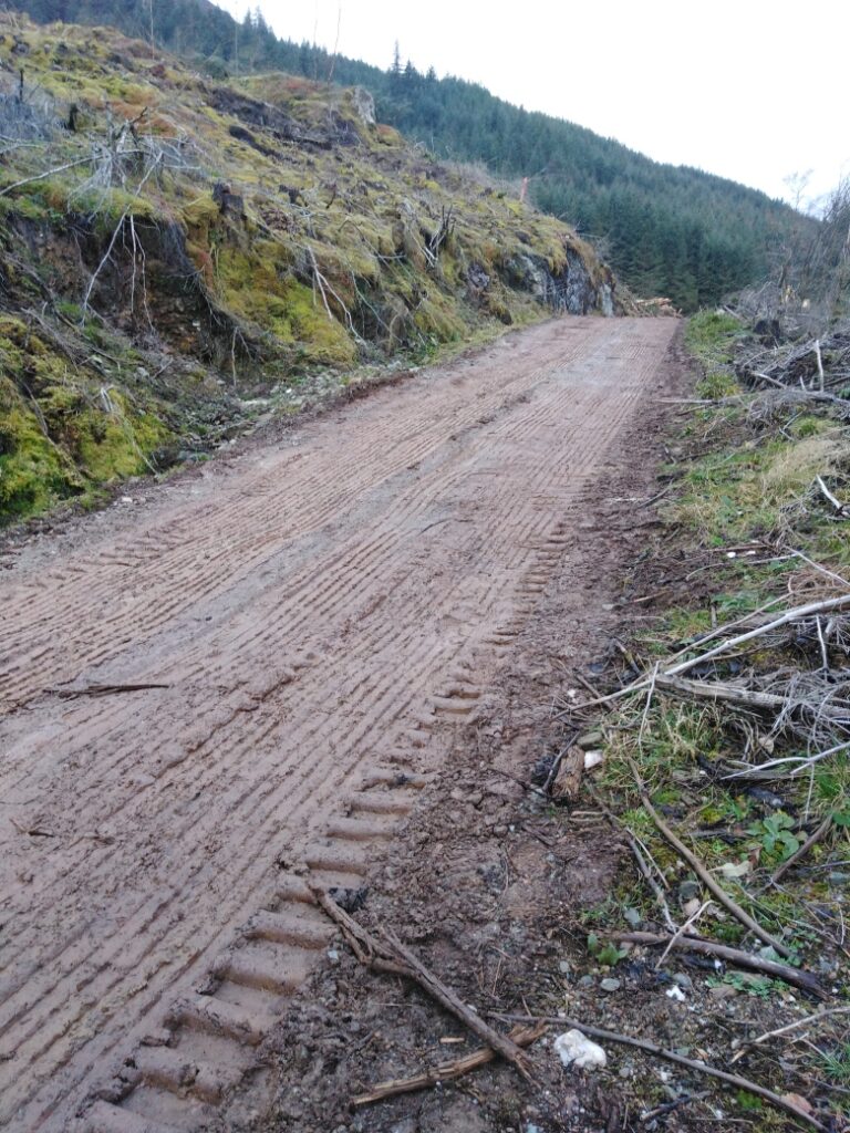 Forest Road after low ground pressure timber haulier has been on it.