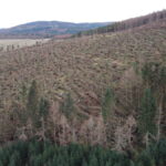 FLS use planes to assess timber recovery