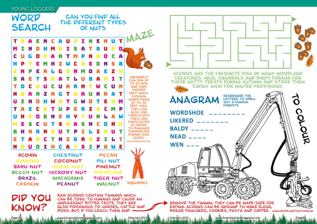 Young Loggers puzzle page - February 2022 - Forest Machine Magazine