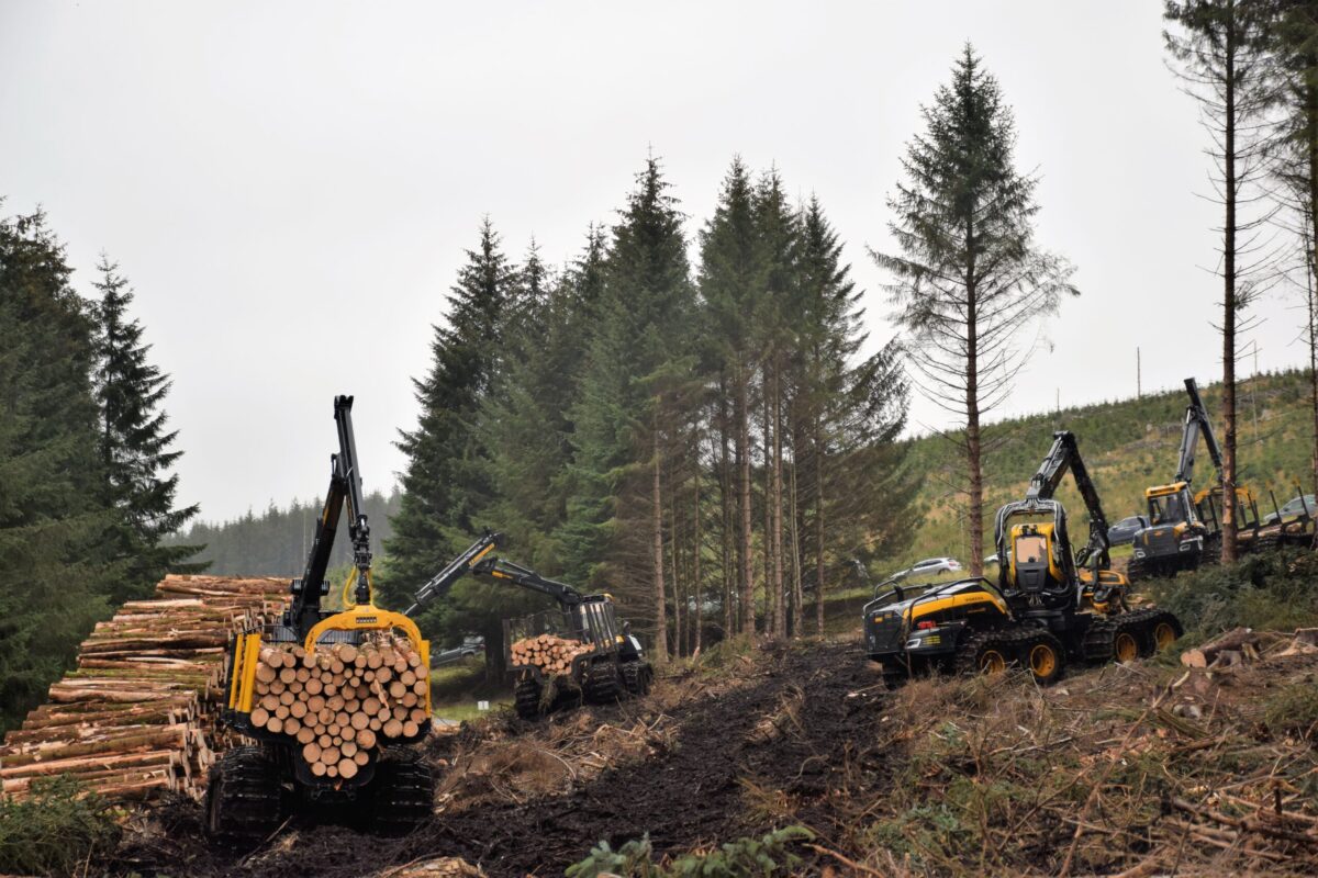 Soaring Energy Costs Crippling Forestry