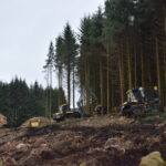 Forestry Employs 1% of Global Population