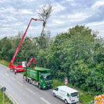 Westtech Woodcracker for Difficult Tree Removals