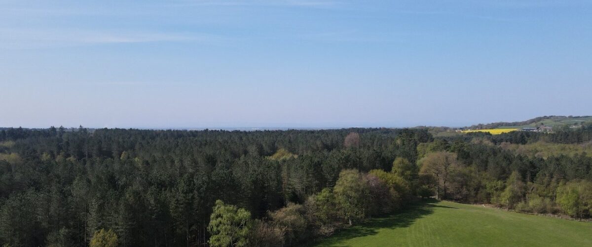 Forestry England to create new woodland to expand Delamere Forest