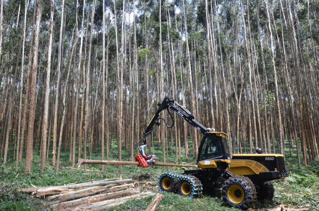 Eco Log 580D harvesting nice clean Eucalyptus which is then used to dry the tea leaves.