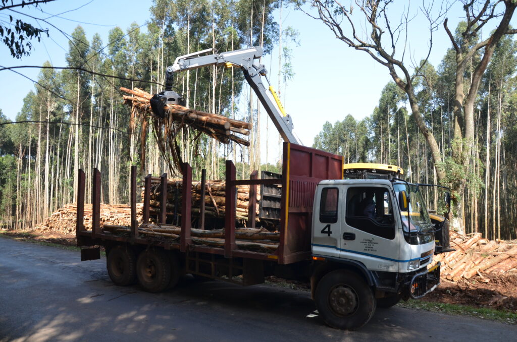 Eco Log 594C loading the log truck prior to delivery to the firewood processing plant