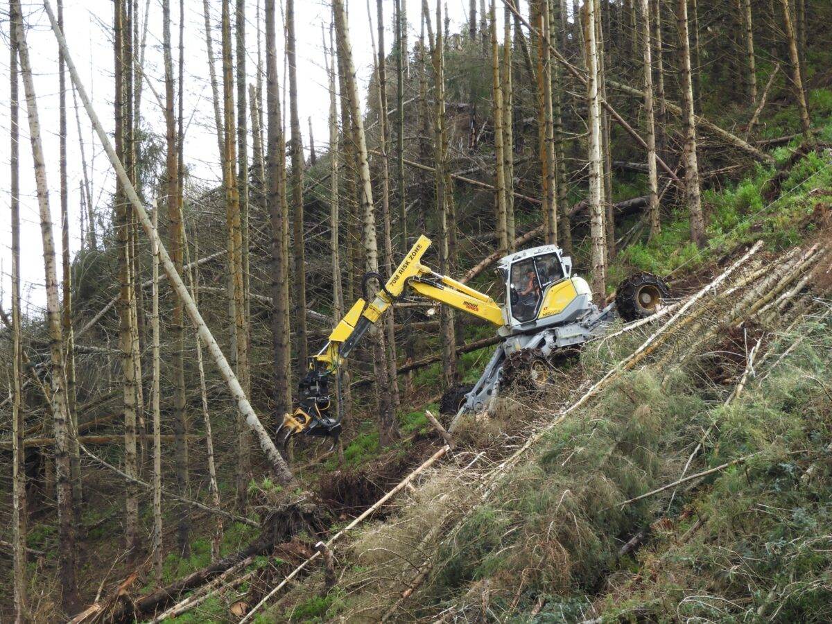 Menzi Muck M545X fitted with a Hultdins saw on a Powerhand grapple working on a steep slope