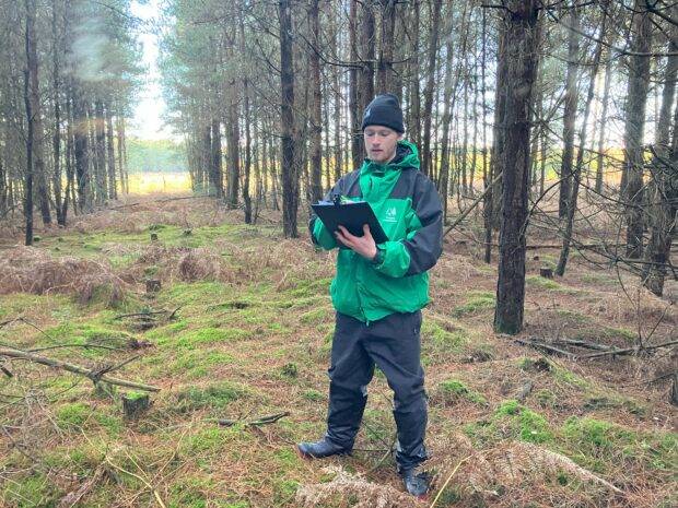 Professional Forester Apprenticeship: a pathway into your new career in forestry