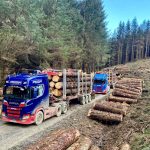 EXPERIENCED HGV TIMBER CRANE OPERATOR REQUIRED