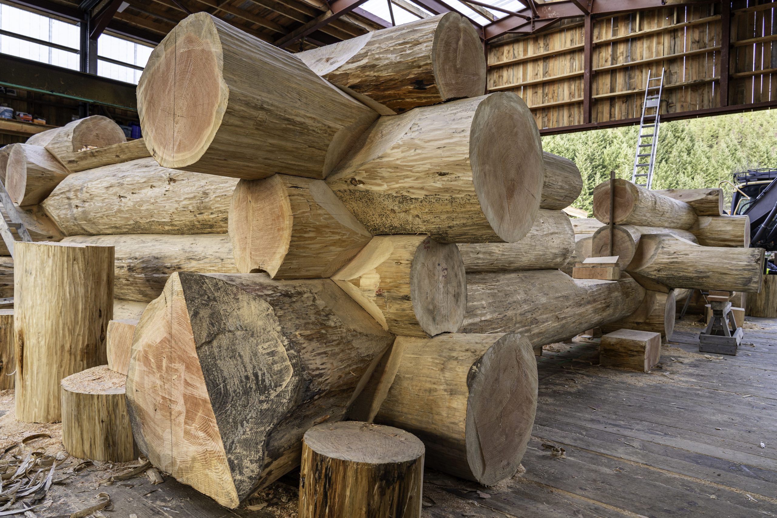 Bedrock Buildings, is preparing the logs at its workshop and is anticipating beginning work in the early summer to construct the building on a plot of land in the village of Tomich.