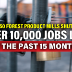 American Timber Industry Crisis