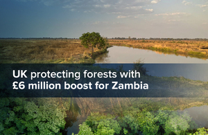 UK protecting forests with £6 million boost for Zambia