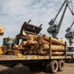 UK timber imports drop by 6% during January