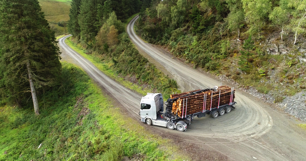 timber transport