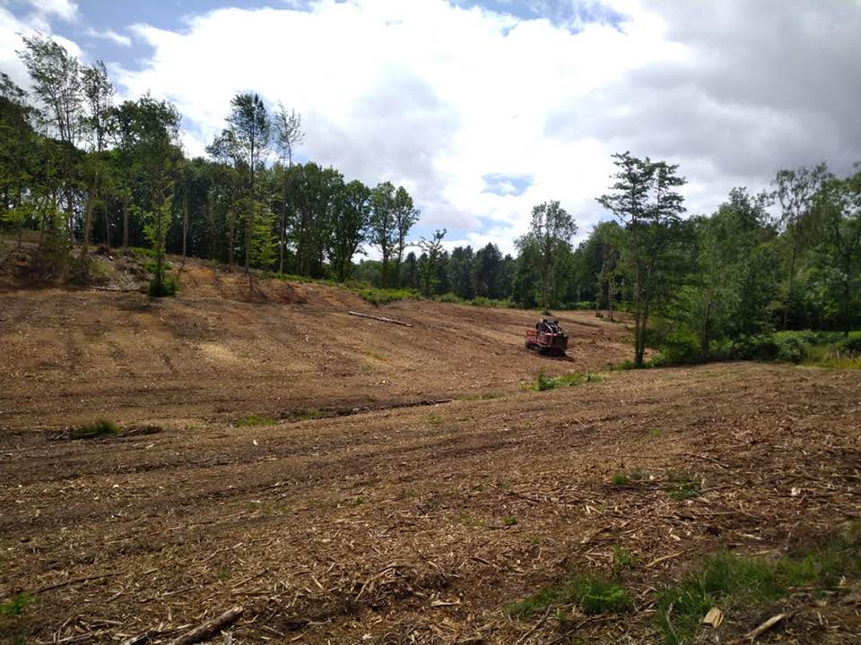 126058977_1283292138703498_6513334682700187018_n Forestry Mulching