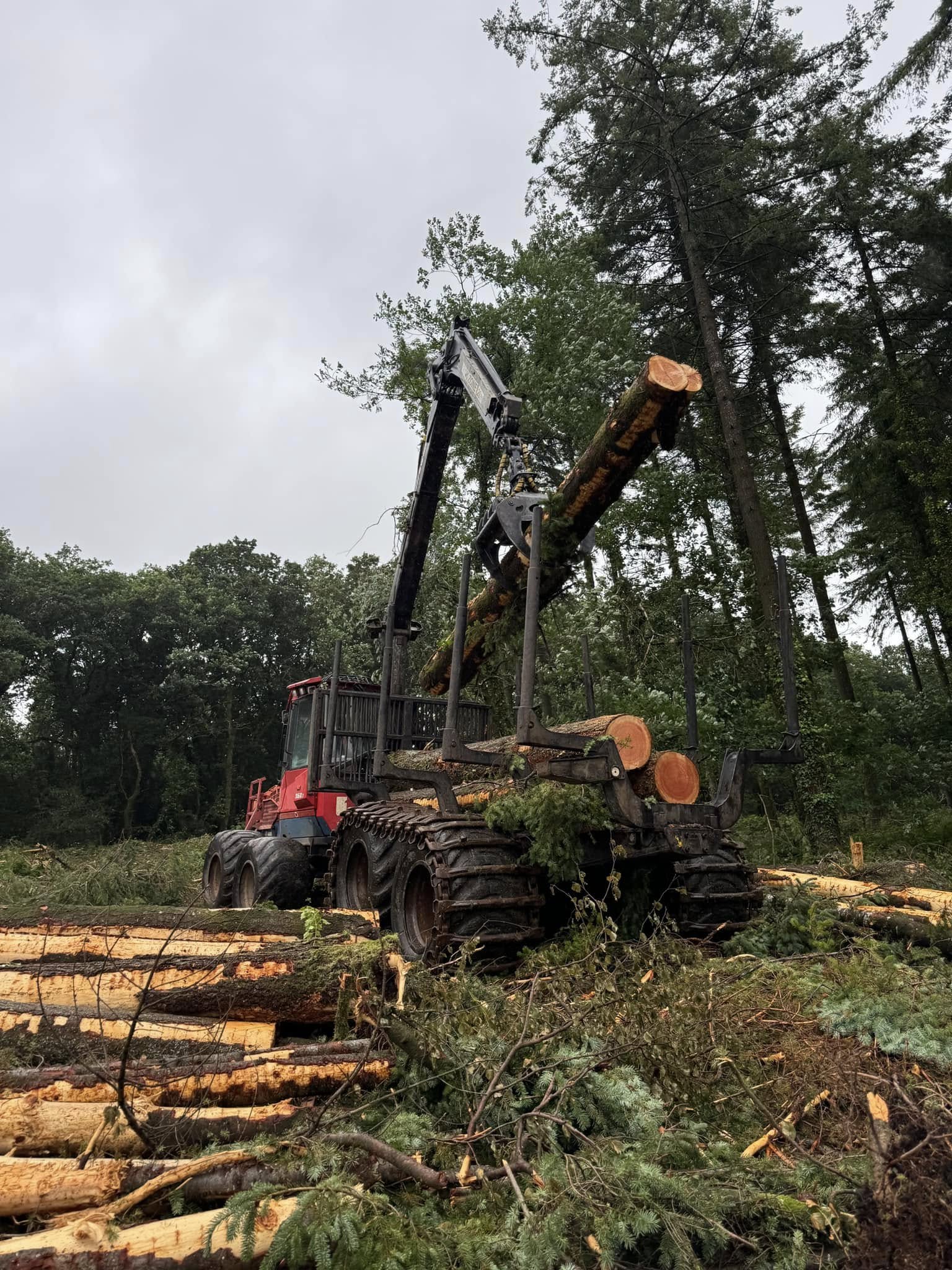 Forestry Job