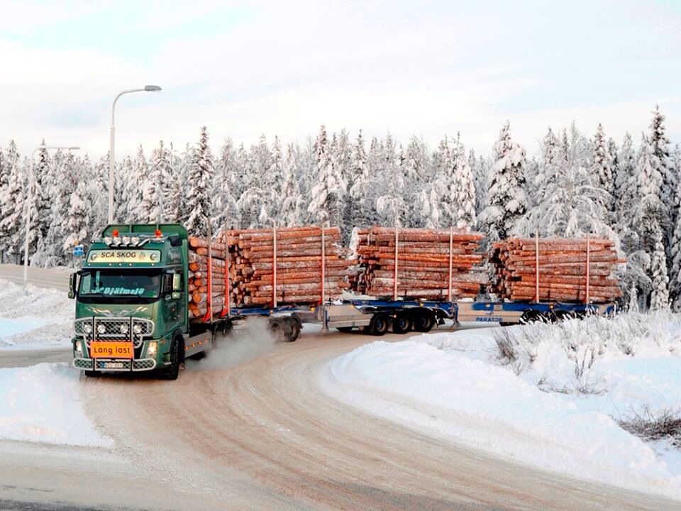 03618ac2ad10b8c1eadf280957bc2695 Swedish Roundwood