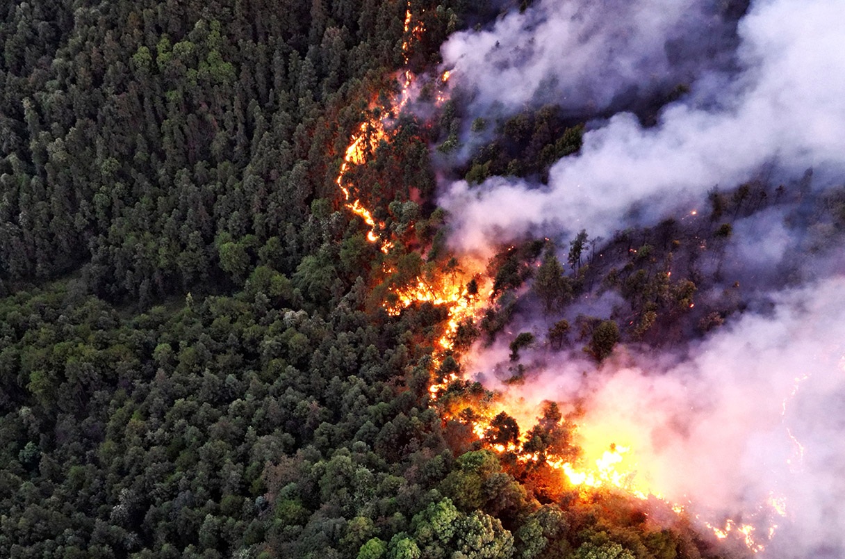 _20250204_on_wildfirebeetles (1) Wildfires, such as this one in China, can release vast quantities of planet-warming carbon into the atmosphere.VCG via Getty Images