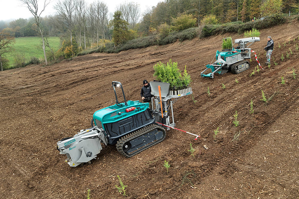 csm_250131_aufforstungsflaeche_meschede_2_449b1d3b05 Pfanzelt moritz