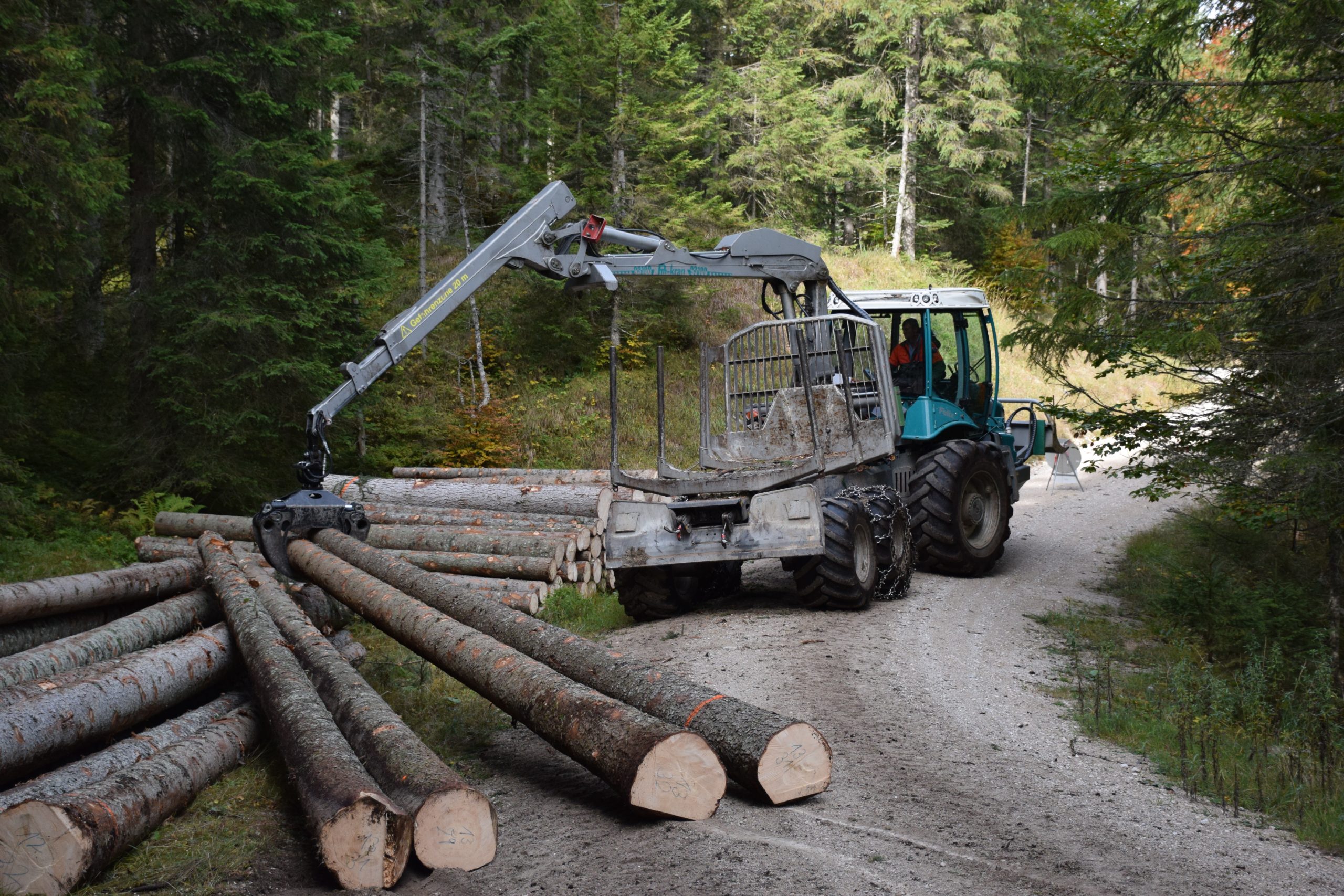 German Timber