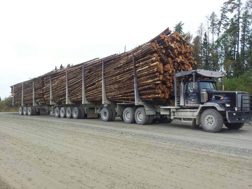 10868079_984676154880227_4564293851293273999_n BC Government