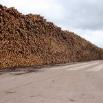 UK Softwood Imports will increase in 2026
