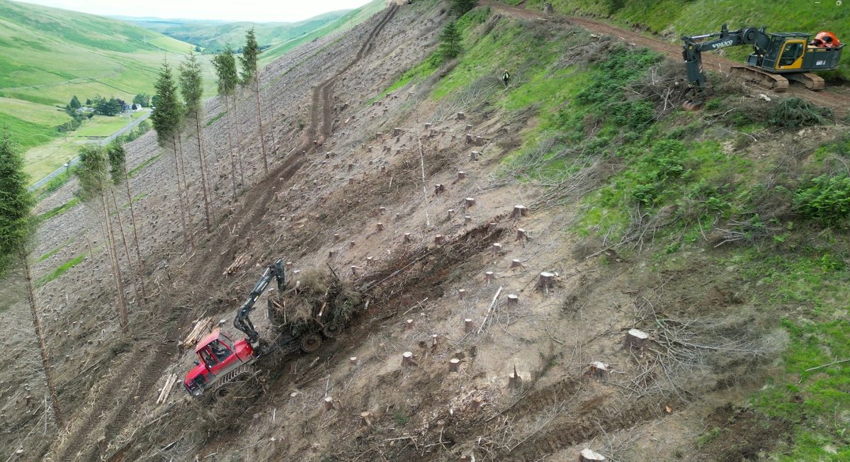 Komatsu TM Steep Slope Logging