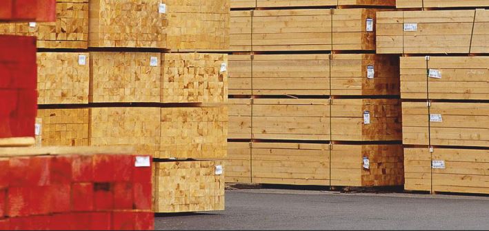 UK-softwood-market-1 net-zero