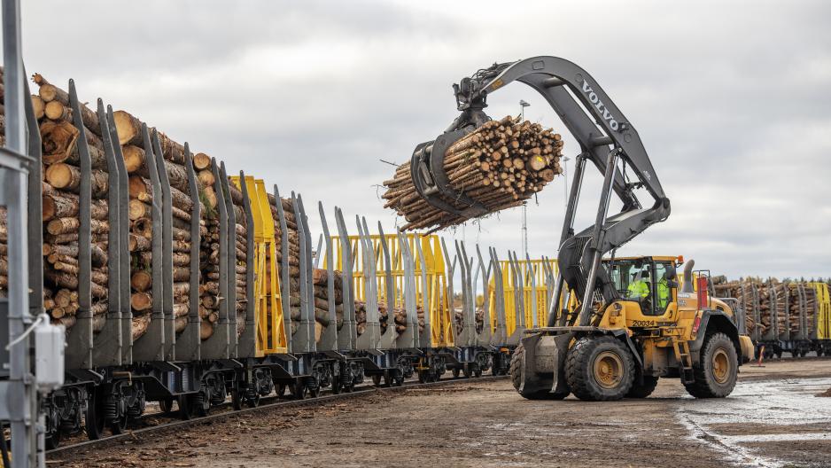 Swedish Forest Industry