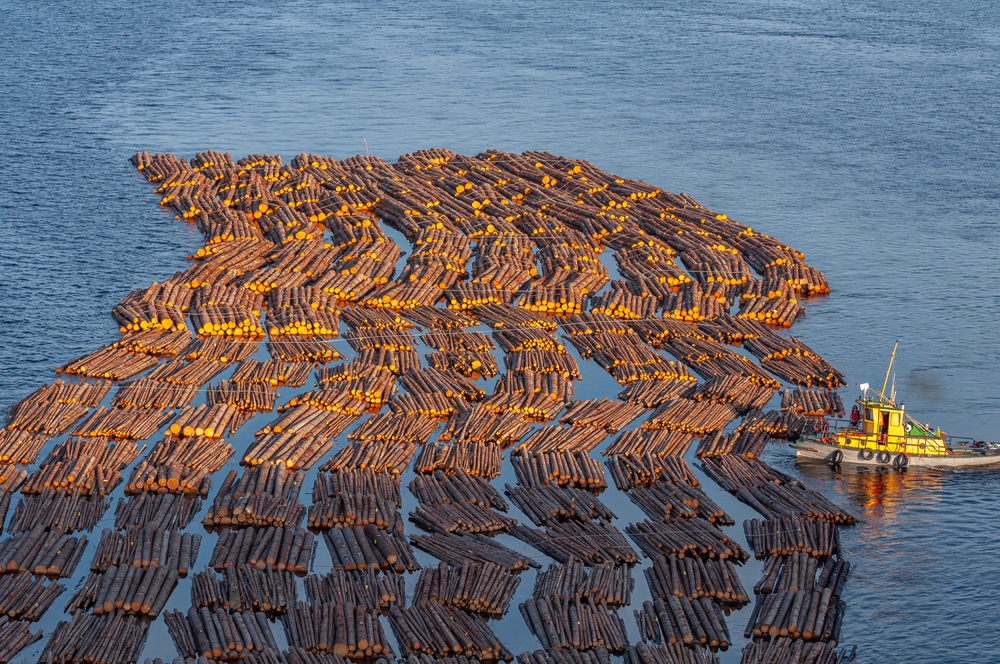 Transportation,Of,Wood,By,Water.,Raw,Logs,Floating,Down,The Finnish forestry