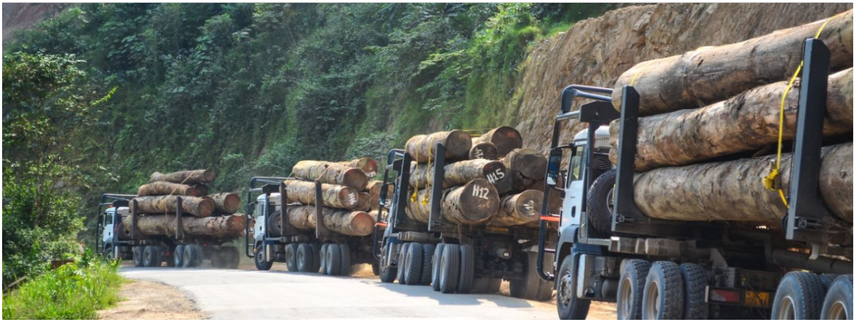 zero-logging Log export bans