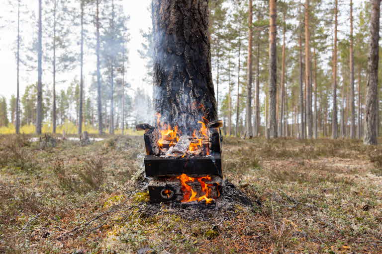 MEDIA NEWS EFFICIENT NATURE CONSERVATION WITH THE PORTABLE FIRE Efficient nature conservation with the portable fire