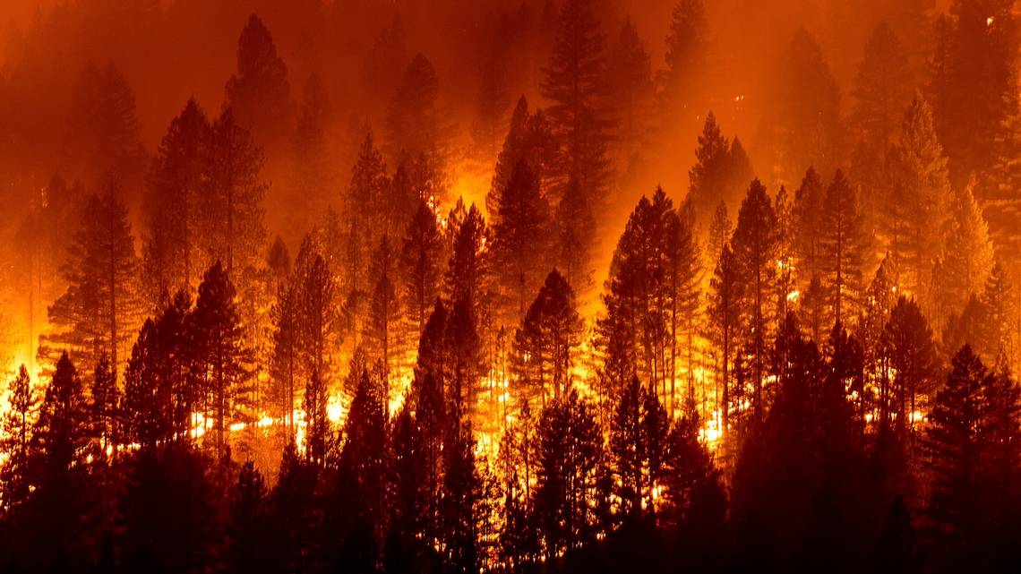 CaliforniaWildfires Forest fires in 2024