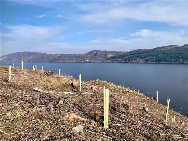 Slopes above A82 restocked with native trees to reduce future risks Forestry and Land Scotland (FLS) have begun the job of planting native trees on the steep slopes above Loch Ness as part of making the A82 safer for road users and the hillside more resilient to the impacts of wind and rain.