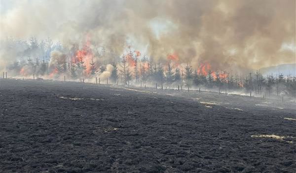 The devastating consequences of wildfires in Wales The devastating consequences of wildfires in Wales