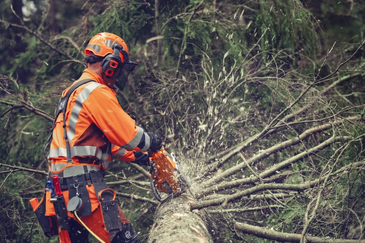 pw-333244 Husqvarna 564 XP G