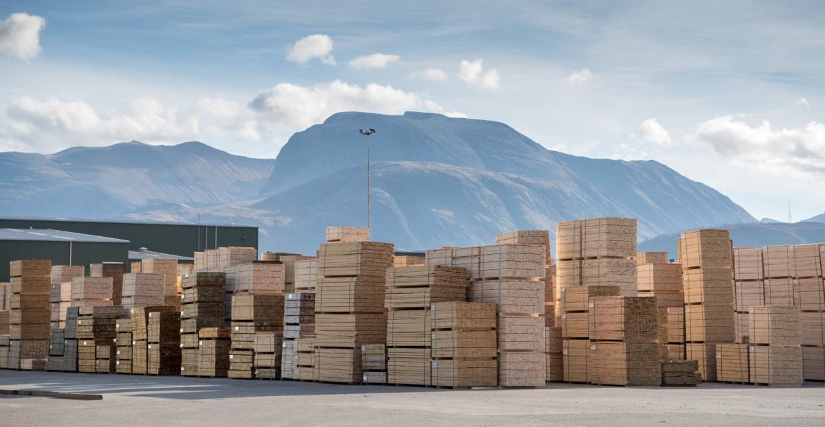 8mA6CQfA British Timber