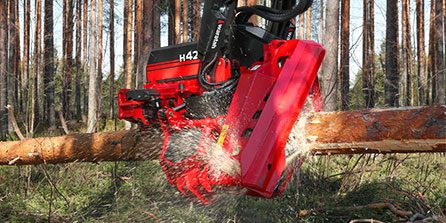 H427x_action_0700_edit_446x223_web Waratah H427