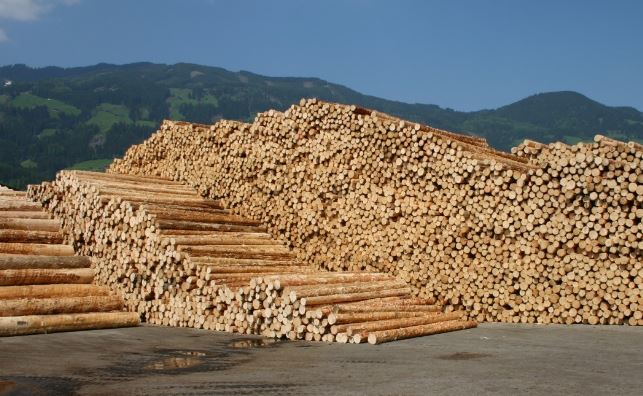 UK-softwood-logs-import UK Timber Import