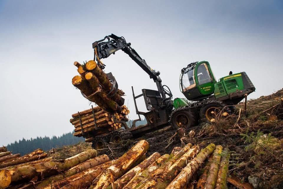 515081371_1161967159279157_5864334969756915977_n Forwarder Operators