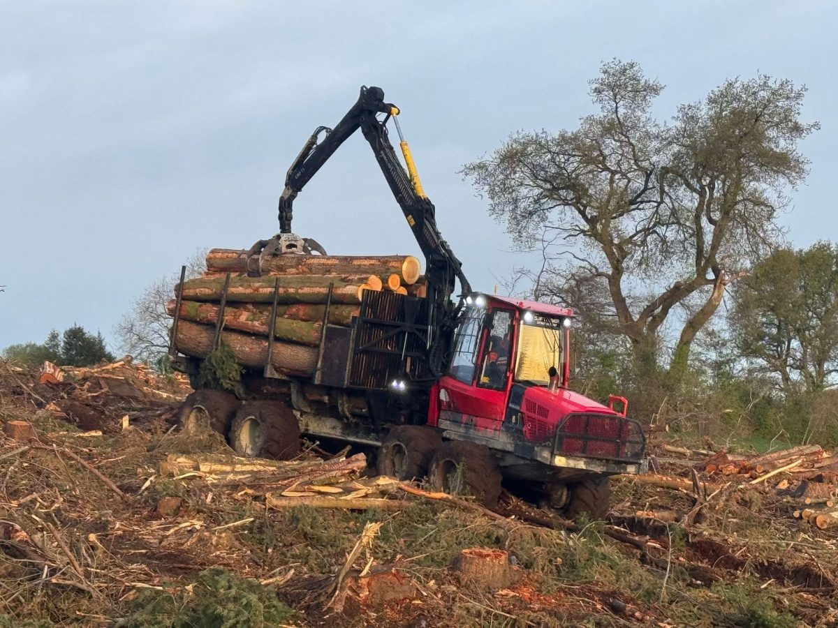 523310611_1263754978875098_5273062838662137929_n Experienced forest machine operators required