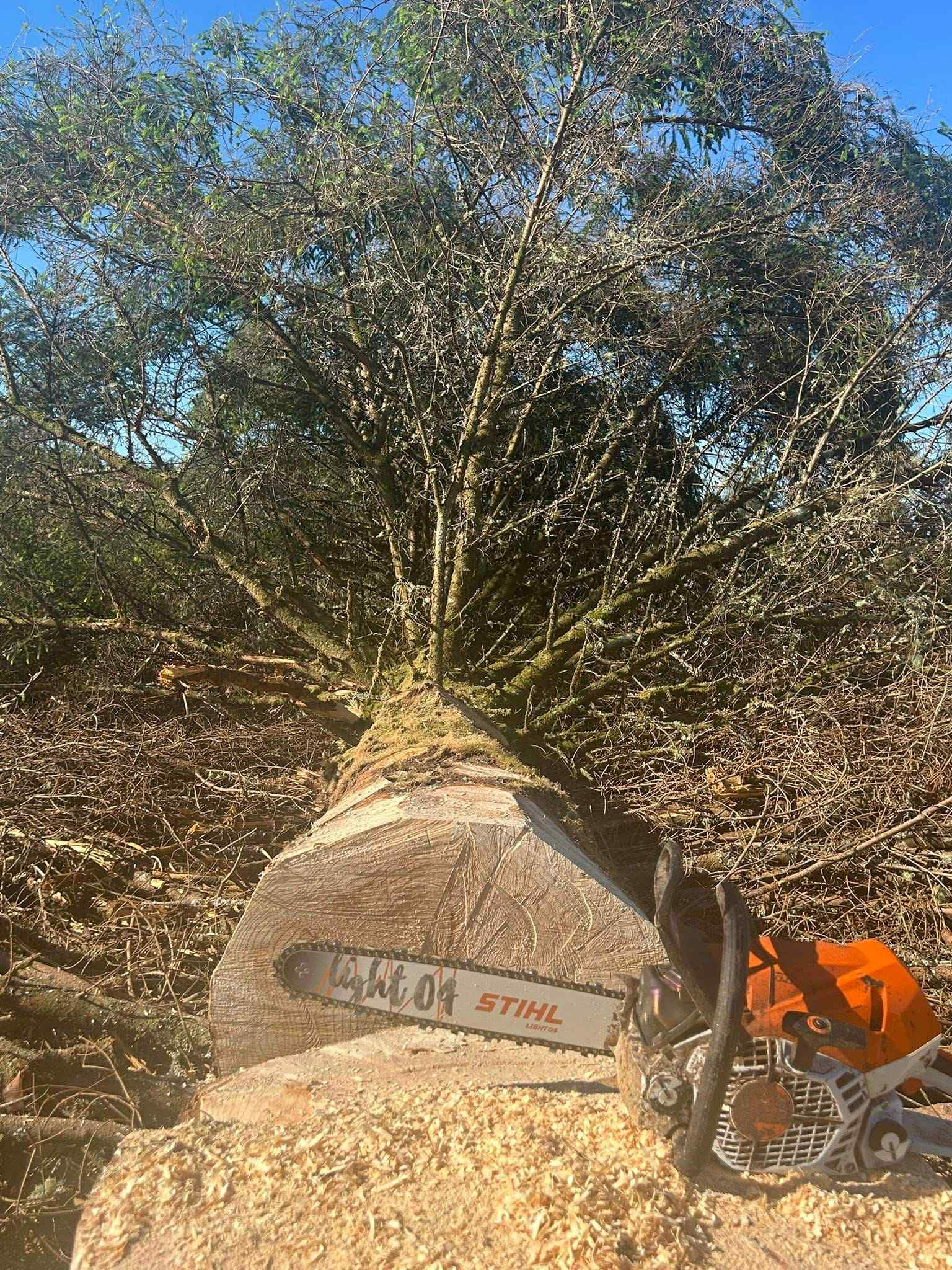 STIHL MS 400.1